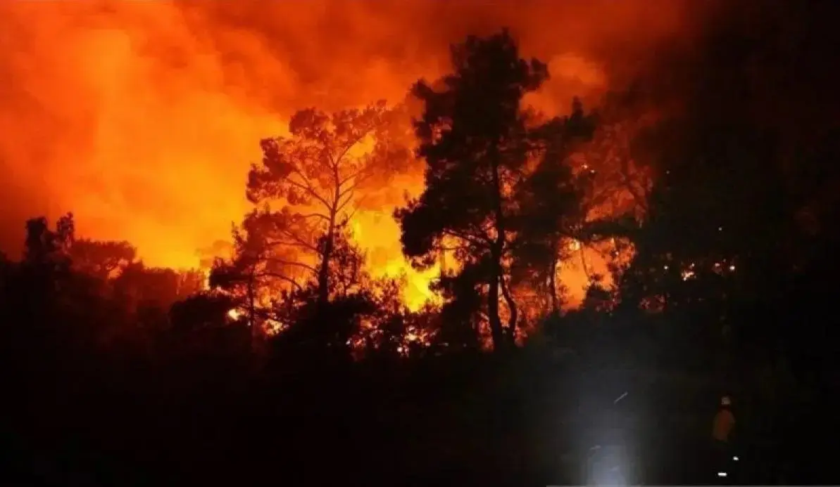 indonesians-in-seoul-urged-to-stay-alert-amid-wildfire-emergency