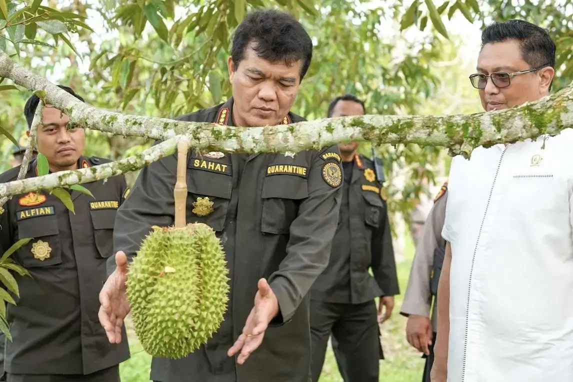 china-officially-opens-market-to-indonesian-frozen-durian-exports