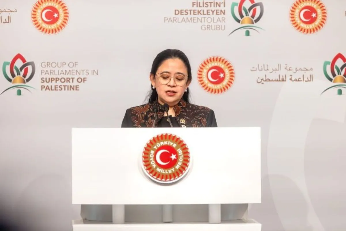 dpr-urges-government-to-guarantee-indonesian-safety-in-india-pakistan