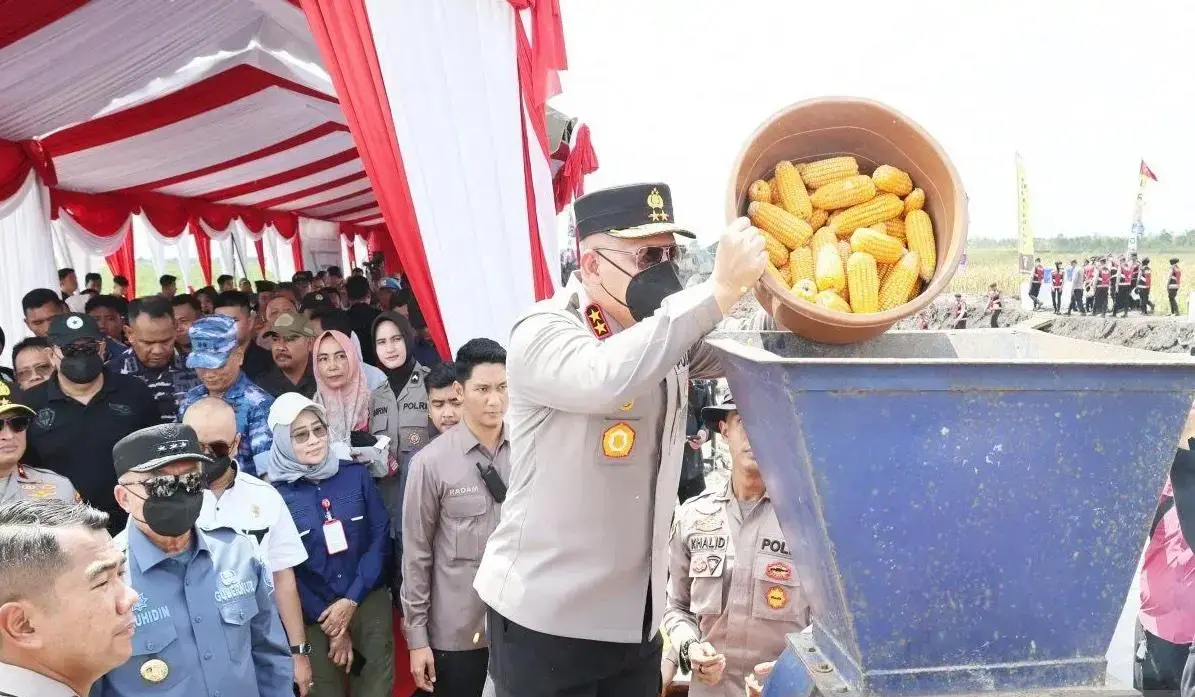 south-kalimantan-police-turn-idle-land-into-cornfields-to-boost-food-security