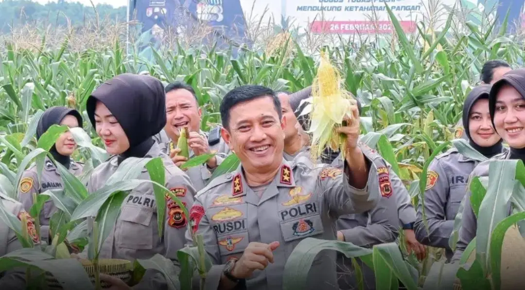 jambi-regional-police-held-the-first-phase-of-corn-harvest