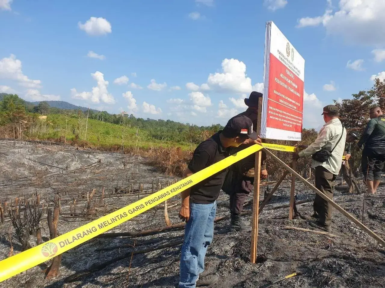 forestry-ministry-crackdowns-the-forest-fire-arsons-ten-corporations-have-been-sealed