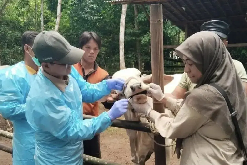 close-livestock-markets-if-foot-and-mouth-and-disease-detected-agriculture-ministry