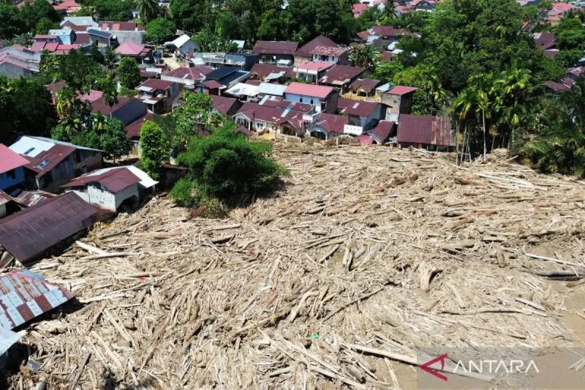 govt-to-rehabilitate-the-green-areas-affected-by-the-disaster-in-sumatra