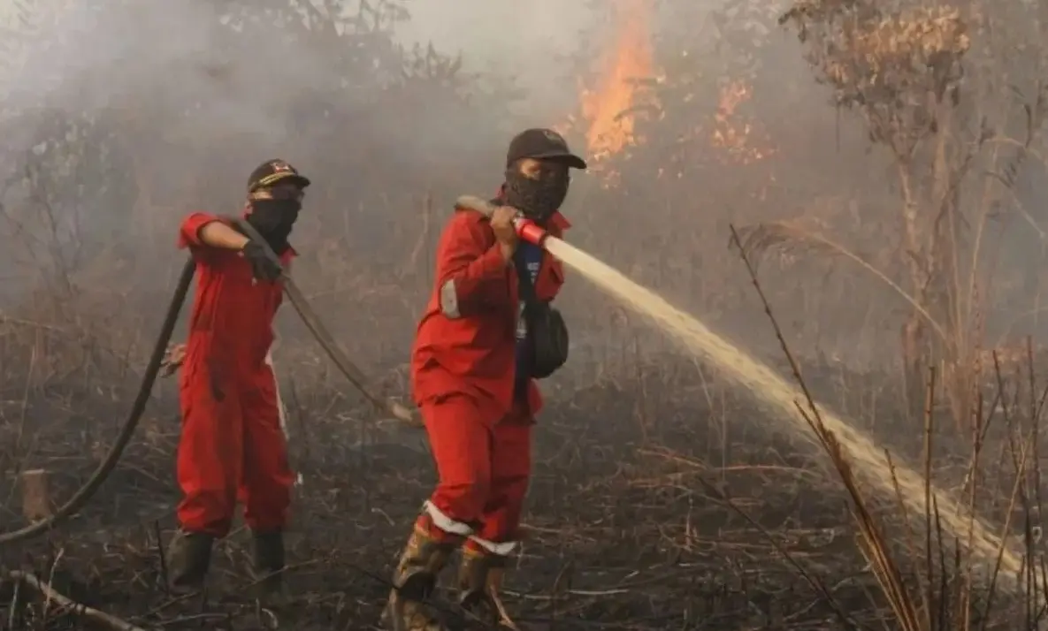 forest-ministry-reports-sharp-drop-in-fire-hotspots-in-2025-compared-to-2019