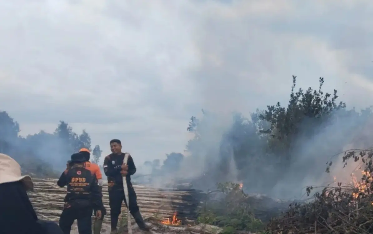 BNPB Reports Wildfires in Aceh, Riau, and Central Kalimantan Despite Rainy Season