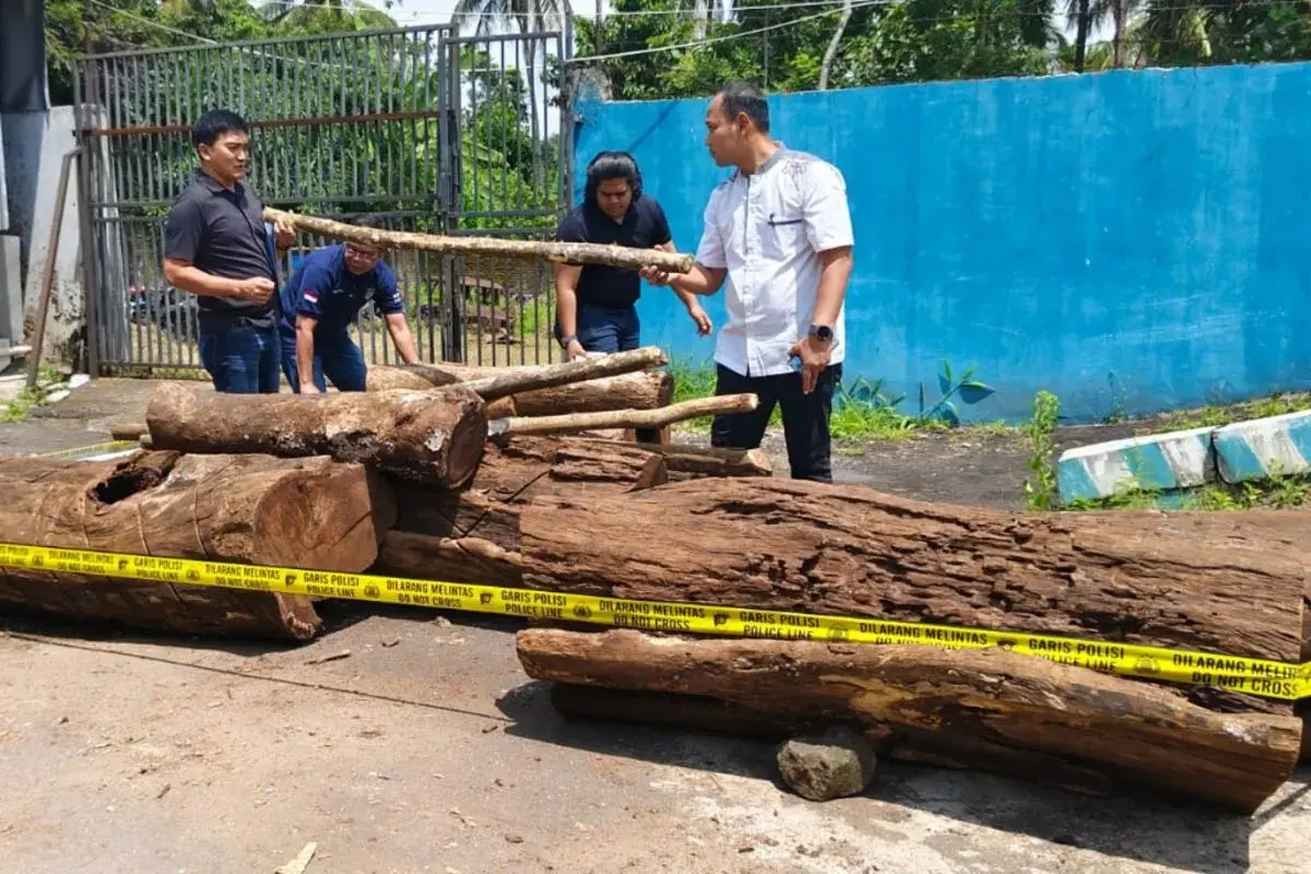 Five Suspects Arrested in Illegal Logging at Mount Ciremai National Park