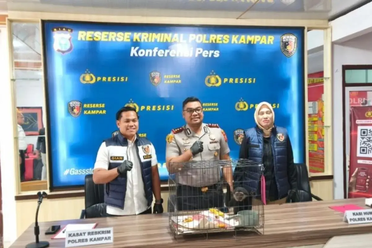 Police Foils Illegal Transaction of Rare Wildlife Animal in Riau