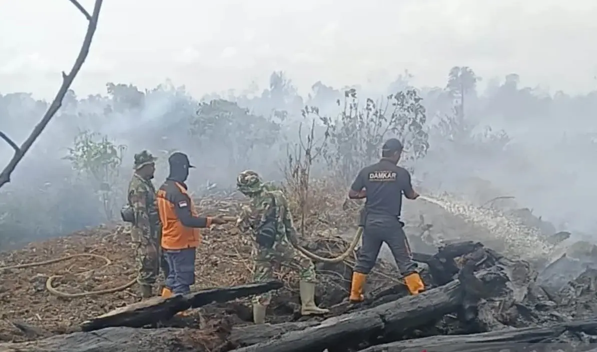 ministry-of-forestry-launches-weather-modification-to-combat-rising-wildfires