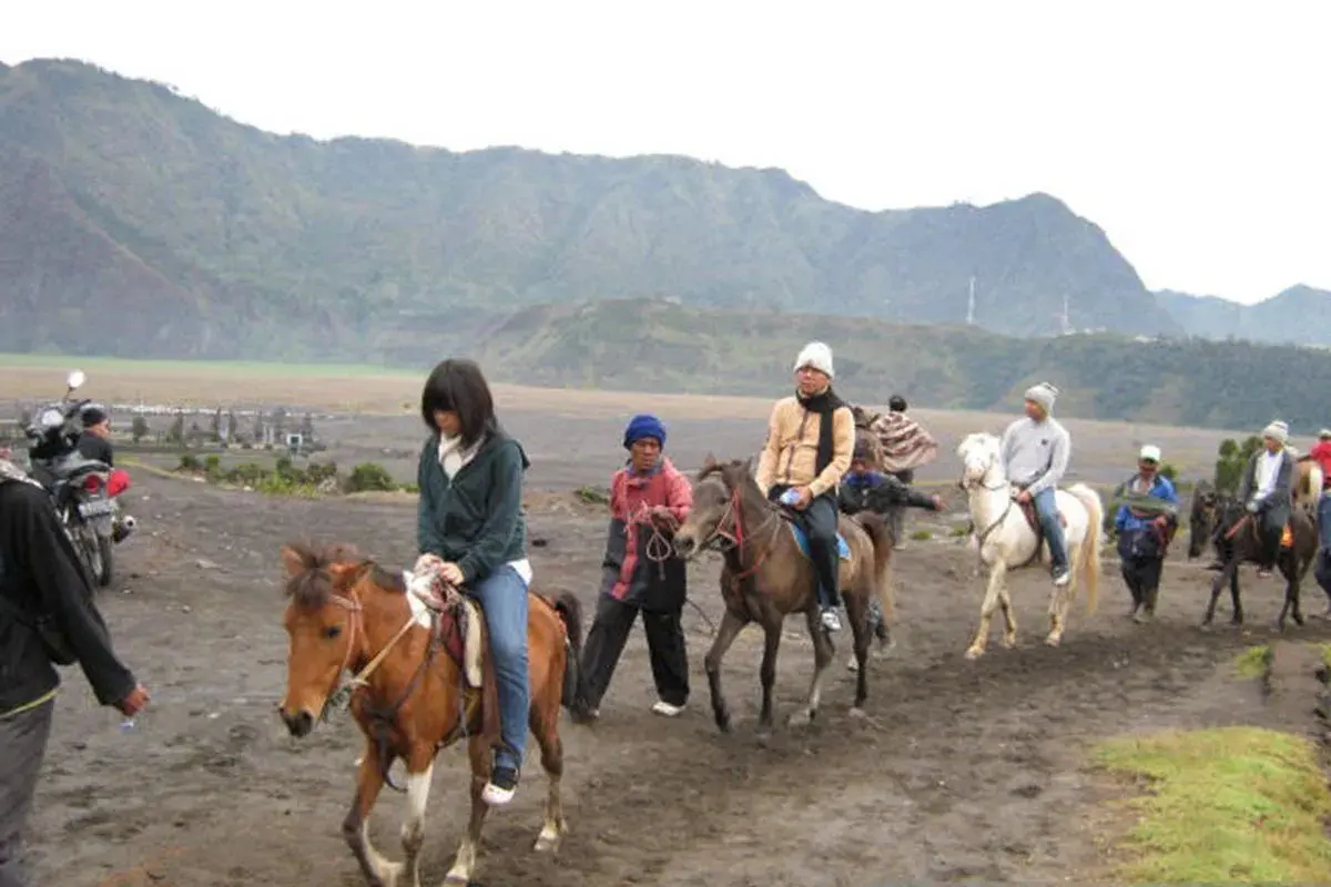 police-formed-small-team-to-search-missing-seven-luggages-of-a-tourist-in-mount-bromo