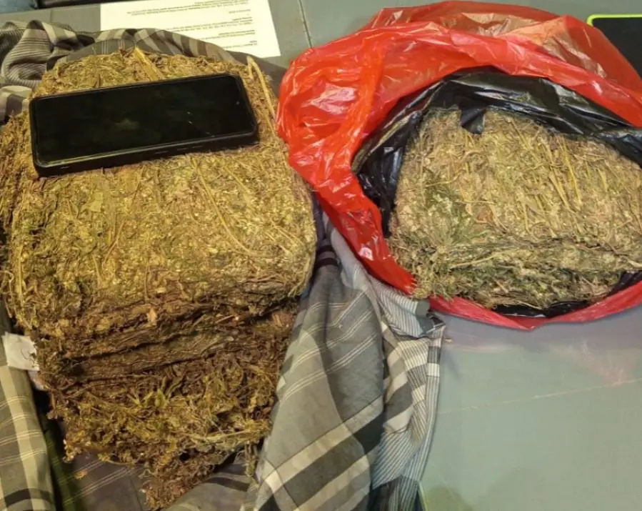 the-smuggling-of-43-kg-marijuana-thwarted-by-police-in-depok