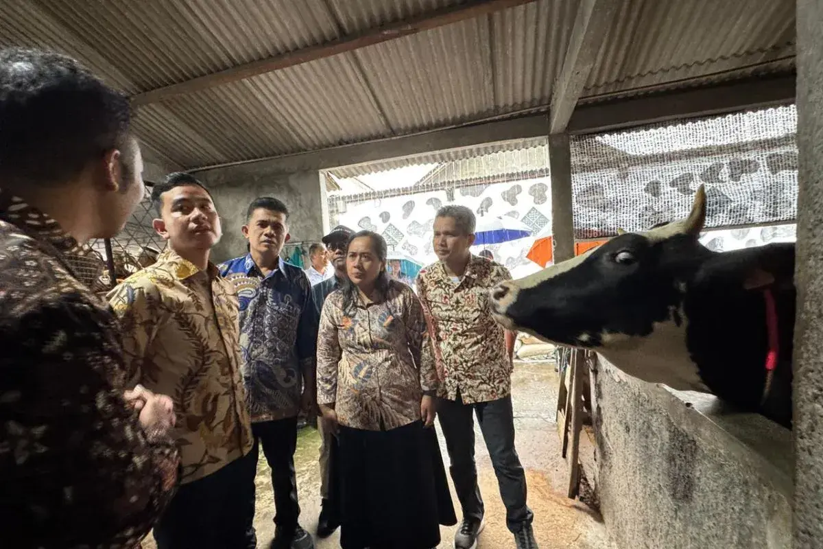 vice-president-gibran-emphasized-stronger-livestock-industry-to-drive-forward-national-economy