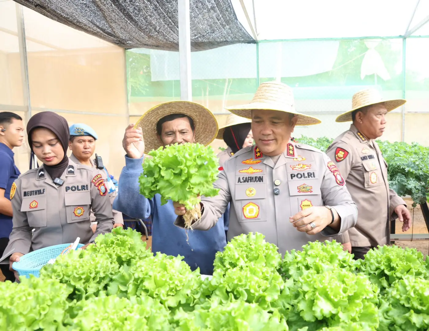 police-harvest-hydroponic-vegetables-in-supporting-the-national-food-security