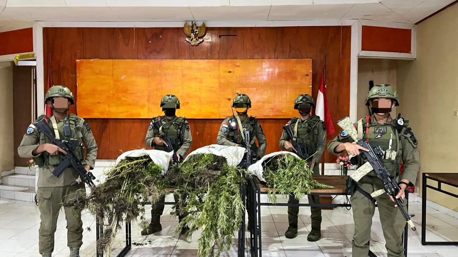 joint-security-team-found-marijuana-plantation-in-bintang-mountains