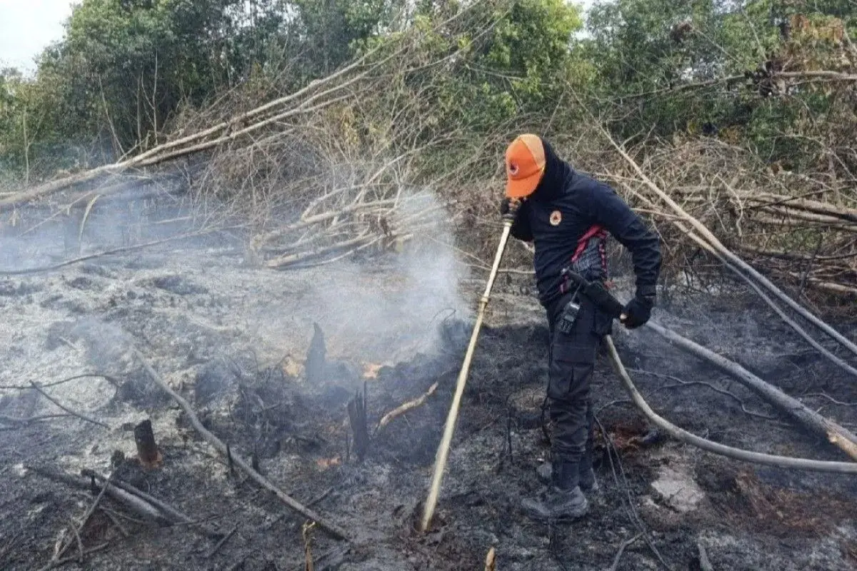 7000-personnel-prepared-to-mitigate-land-fires-in-central-kalimantan