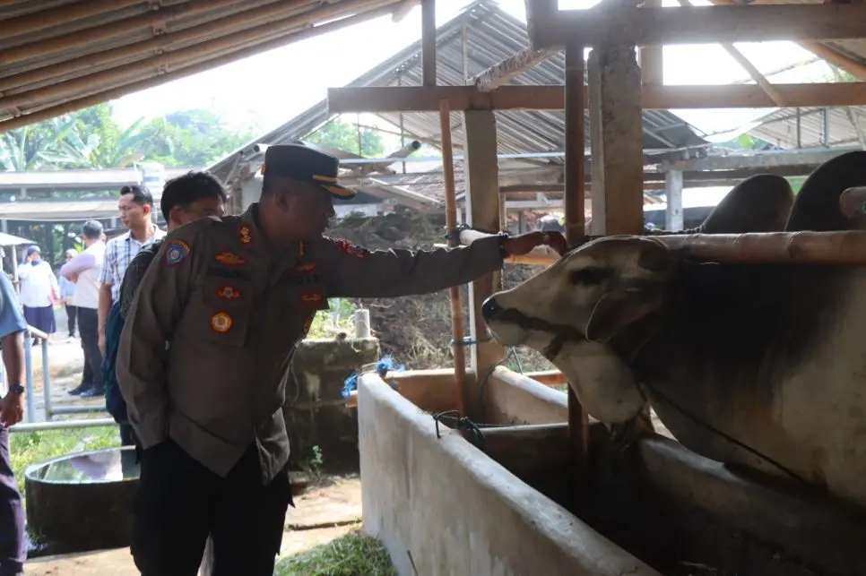 ahead-eid-al-adha-police-accompany-govt-in-reviewing-the-price-of-sacrificial-animals