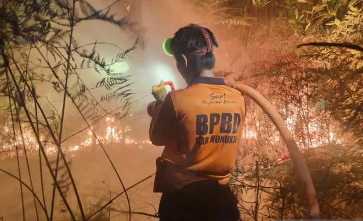 cause-of-wildfires-in-north-kalimantan-under-investigation-bnpb