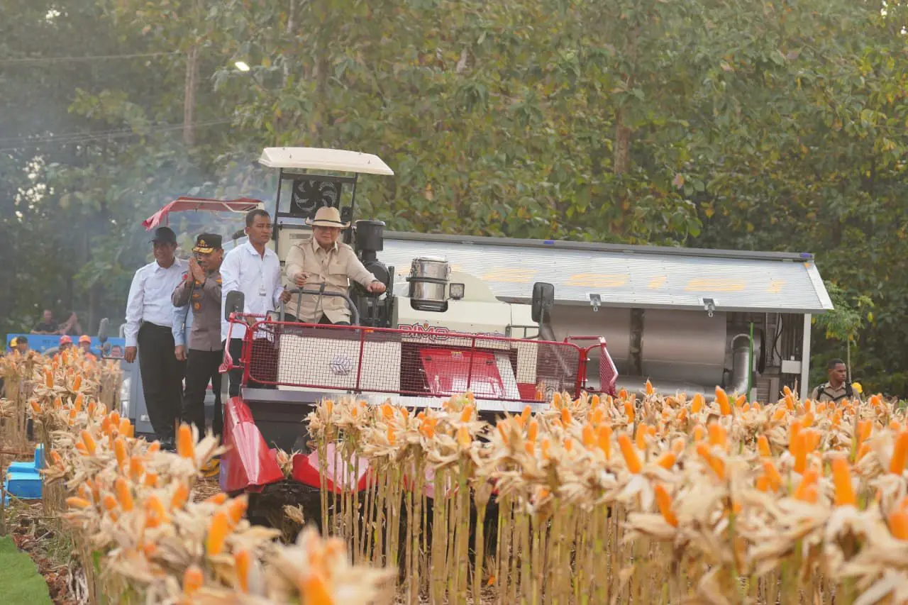 inp-chief-reports-the-result-of-corn-harvest-in-the-first-and-second-quarters
