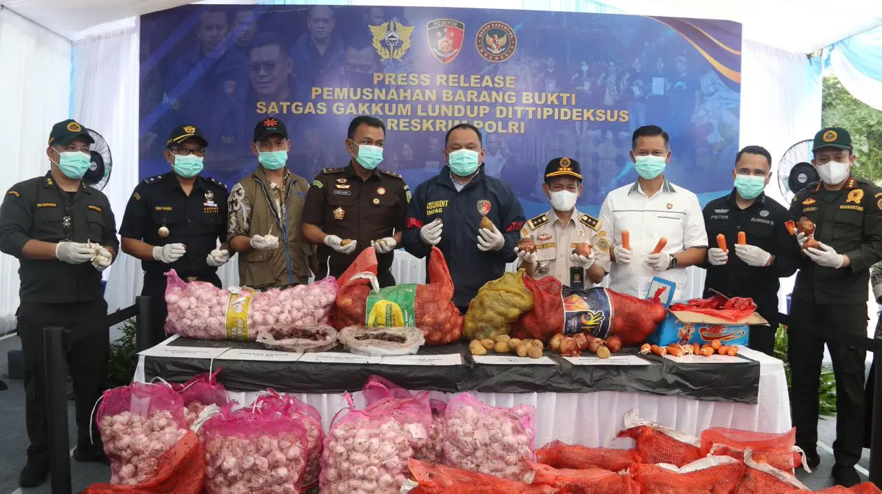 thousands-of-illegal-imported-onions-destroyed-following-operations-in-malaysian-border