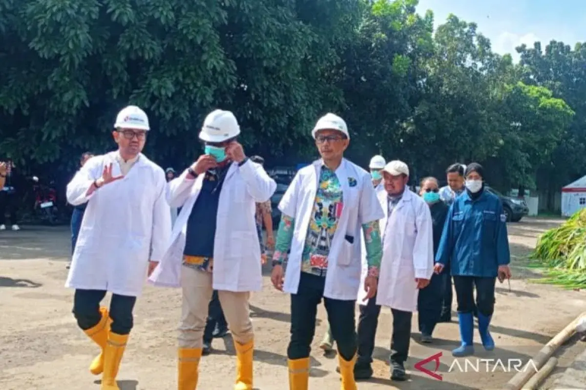 authorities-assures-cattle-for-eid-al-adha-in-jakarta-to-be-free-from-fmd-and-lsd