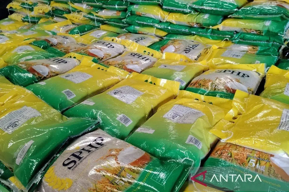 facing-the-threat-of-el-nino-govt-optimistic-the-rice-stock-is-safe