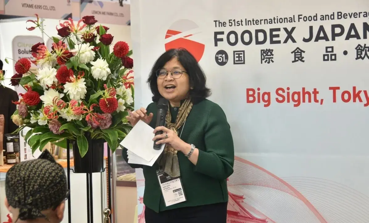 indonesia-offers-tin-downstreaming-and-giant-sea-wall-projects-to-japan
