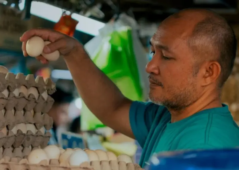 3000-chicken-eggs-harvested-and-to-be-distributed-to-sppg-in-bekasi