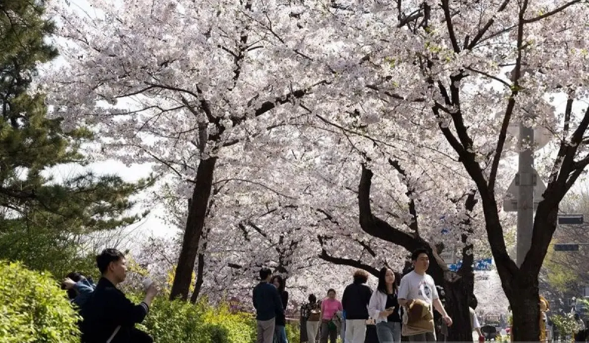 south-korea-grants-temporary-visa-free-entry-for-indonesians