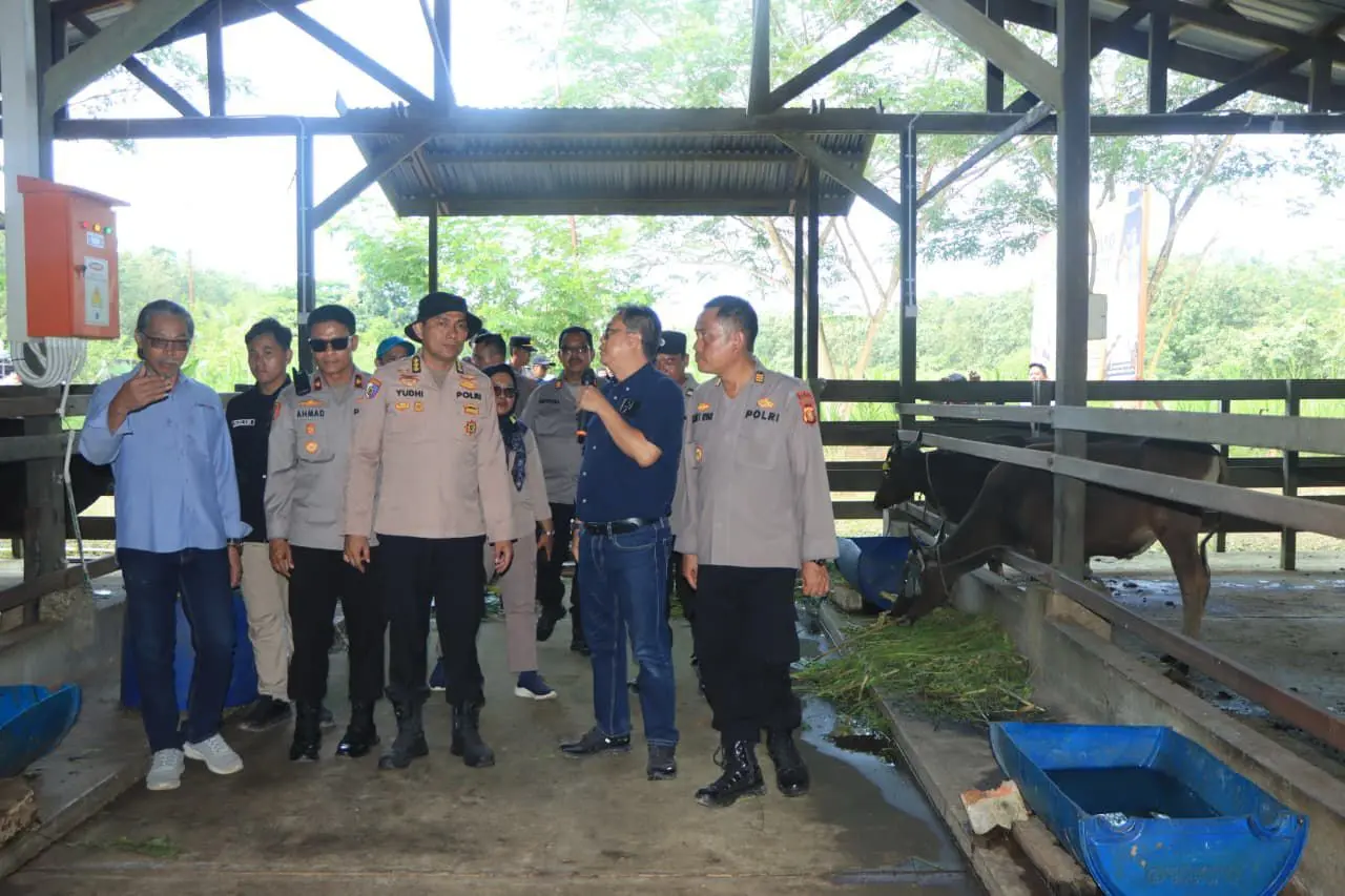 east-kalimantan-police-support-cattle-farming-program