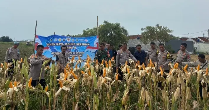 karawang-police-support-food-self-sufficiency-with-hybrid-corn