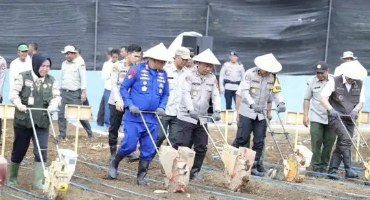 south-sumatra-police-boost-food-security-with-agricultural-aid-in-lubuk-linggau