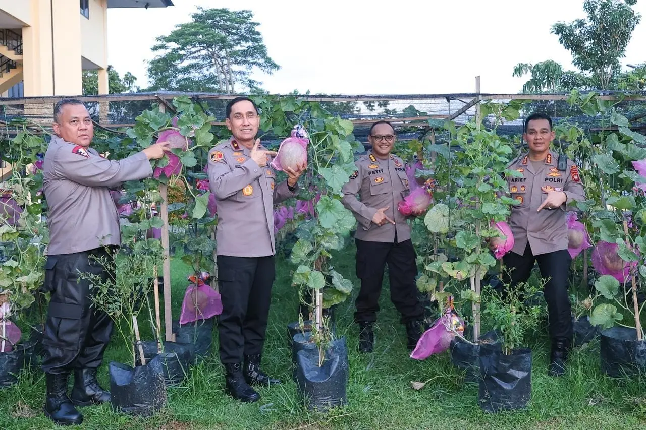 west-kalimantan-police-develop-melon-farming-to-support-food-security