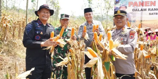 central-java-police-brimob-hold-corn-harvest-to-boost-food-security