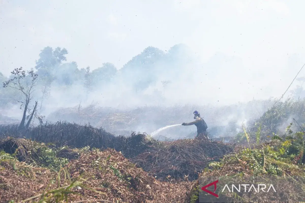 orangutan-rehabilitation-center-is-in-jeopardy-due-to-wildfire-authorities-deploys-water-bombing