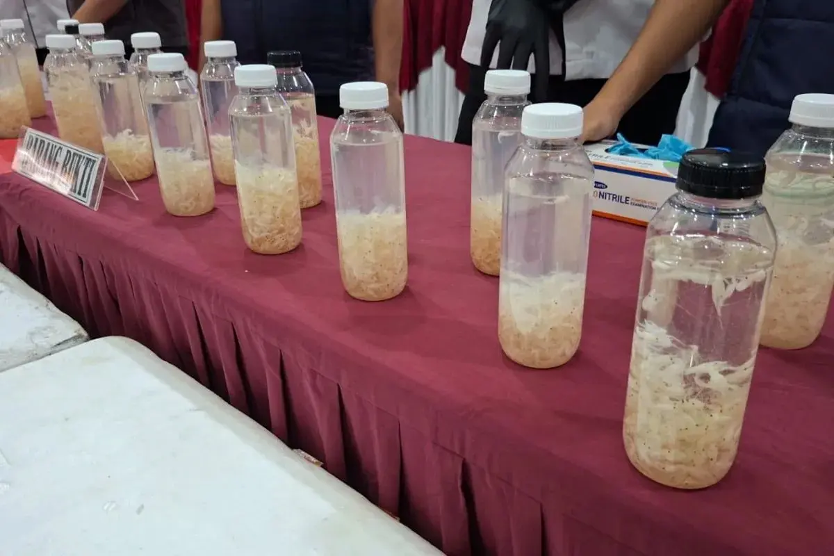 cilegon-police-foil-smuggling-of-rp-75-billion-lobster-larvae