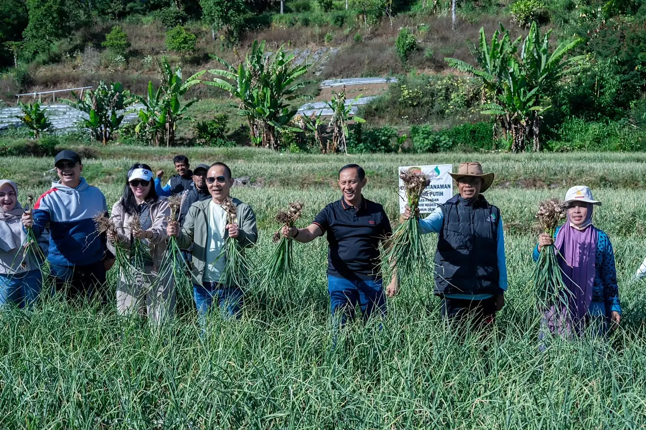 inp-food-task-force-expands-garlic-cultivation-in-sembalun-to-534-hectares