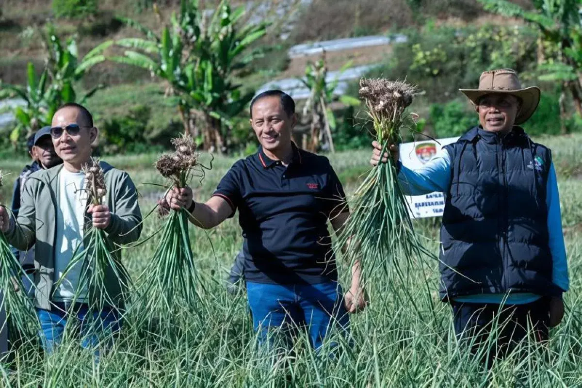 inp-supports-the-national-food-self-sufficiency-program-through-garlic-cultivation