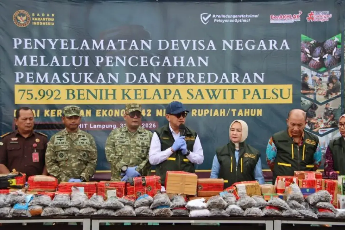 75992-illegal-oil-palm-seeds-smuggling-thwarted-by-authorities-in-lampung