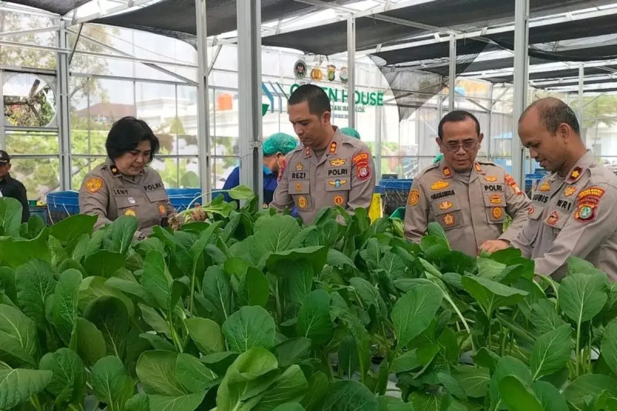 metro-jaya-police-harvests-82-kg-of-pakchoi-for-free-nutritious-meal-program