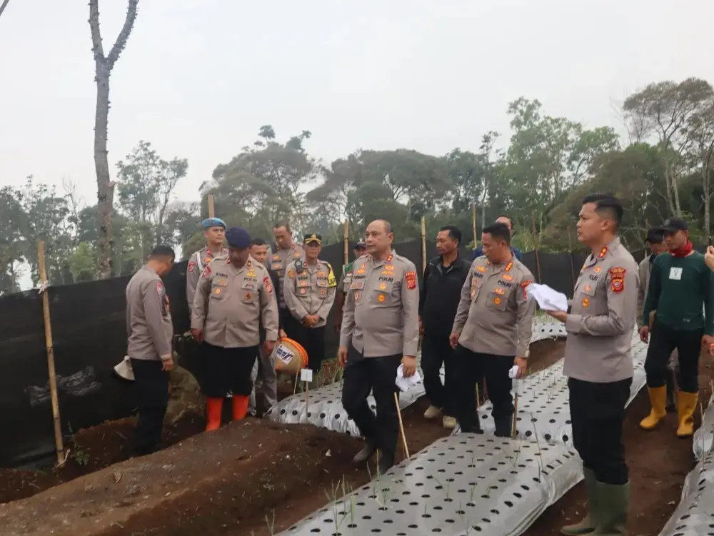 west-java-police-chief-inspects-garlic-cultivation-site-to-support-food-security-in-subang