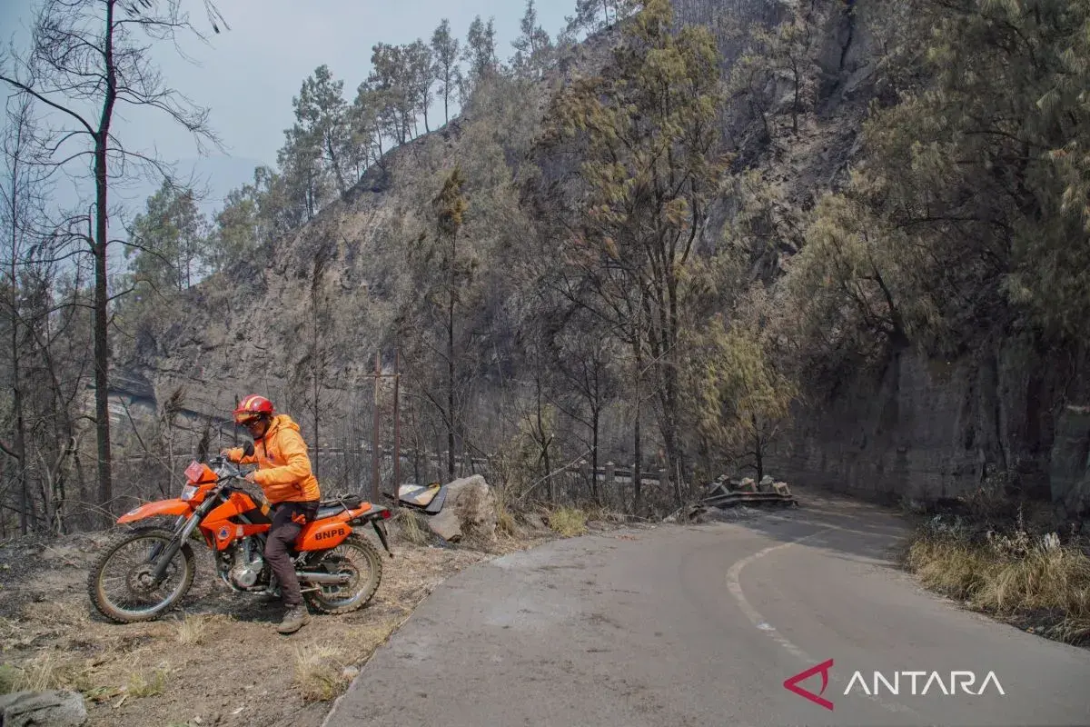 govt-coordinates-in-preventing-wild-fires-in-various-areas