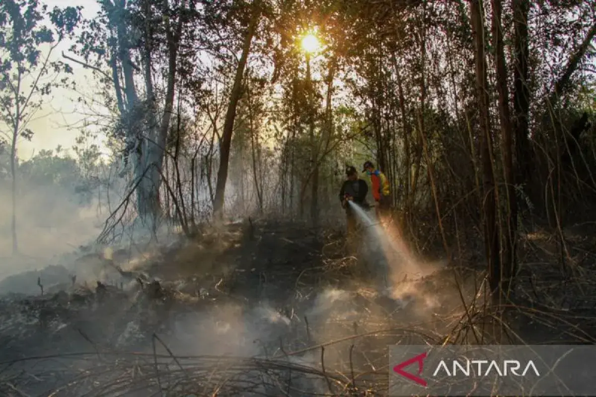 fire-on-east-seram-hills-successfully-extinguished