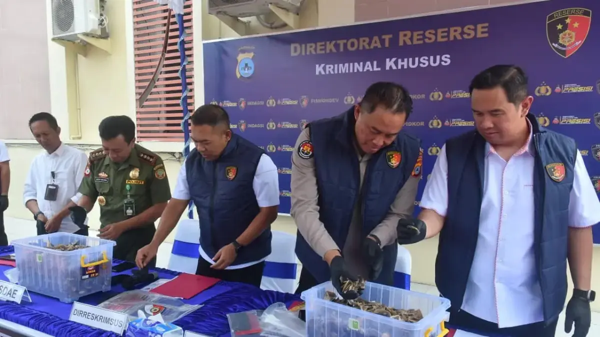 the-smuggling-of-64-kg-pangolin-scales-foiled-by-police-in-south-kalimantan