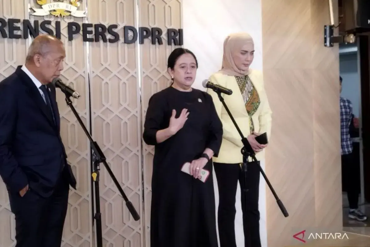 puan-urged-government-to-prioritize-public-safety-over-wildfire-in-kalimantan