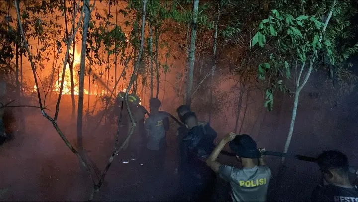 three-wildfire-locations-in-north-kalimantan-extinguished-no-casualties-reported