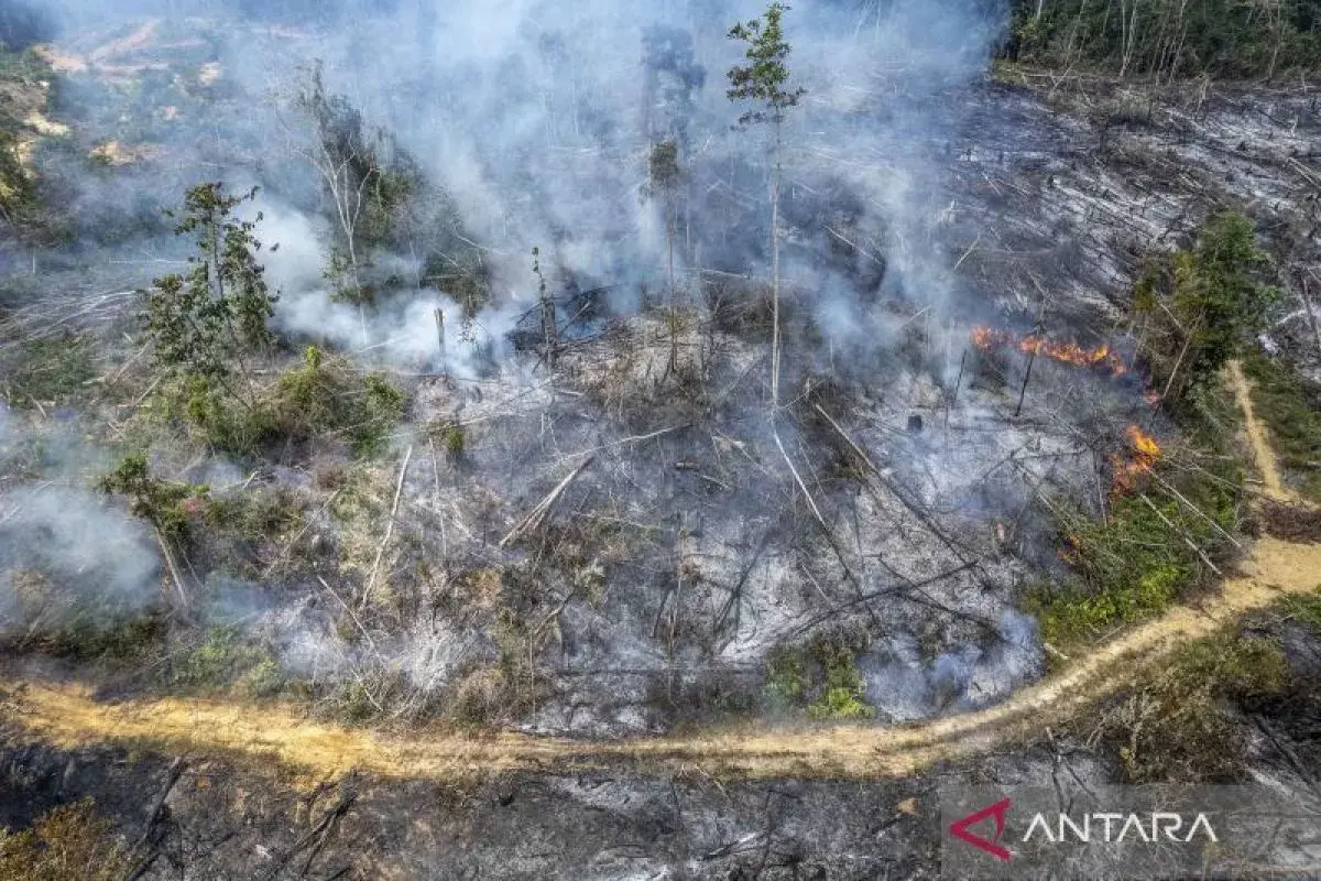 112-wildfire-cases-recorded-in-south-sulawesi-bpbd