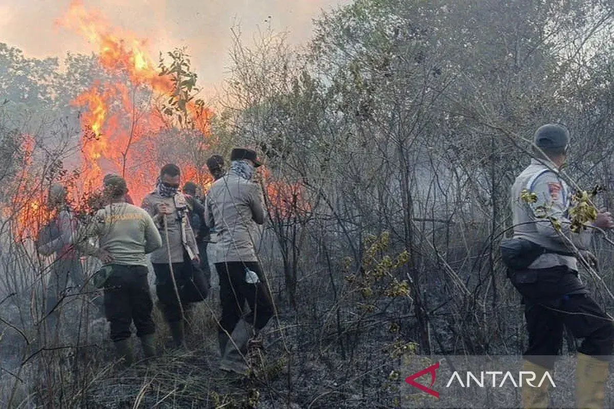 way-kambas-national-park-wildfire-require-our-special-attention-prabowo