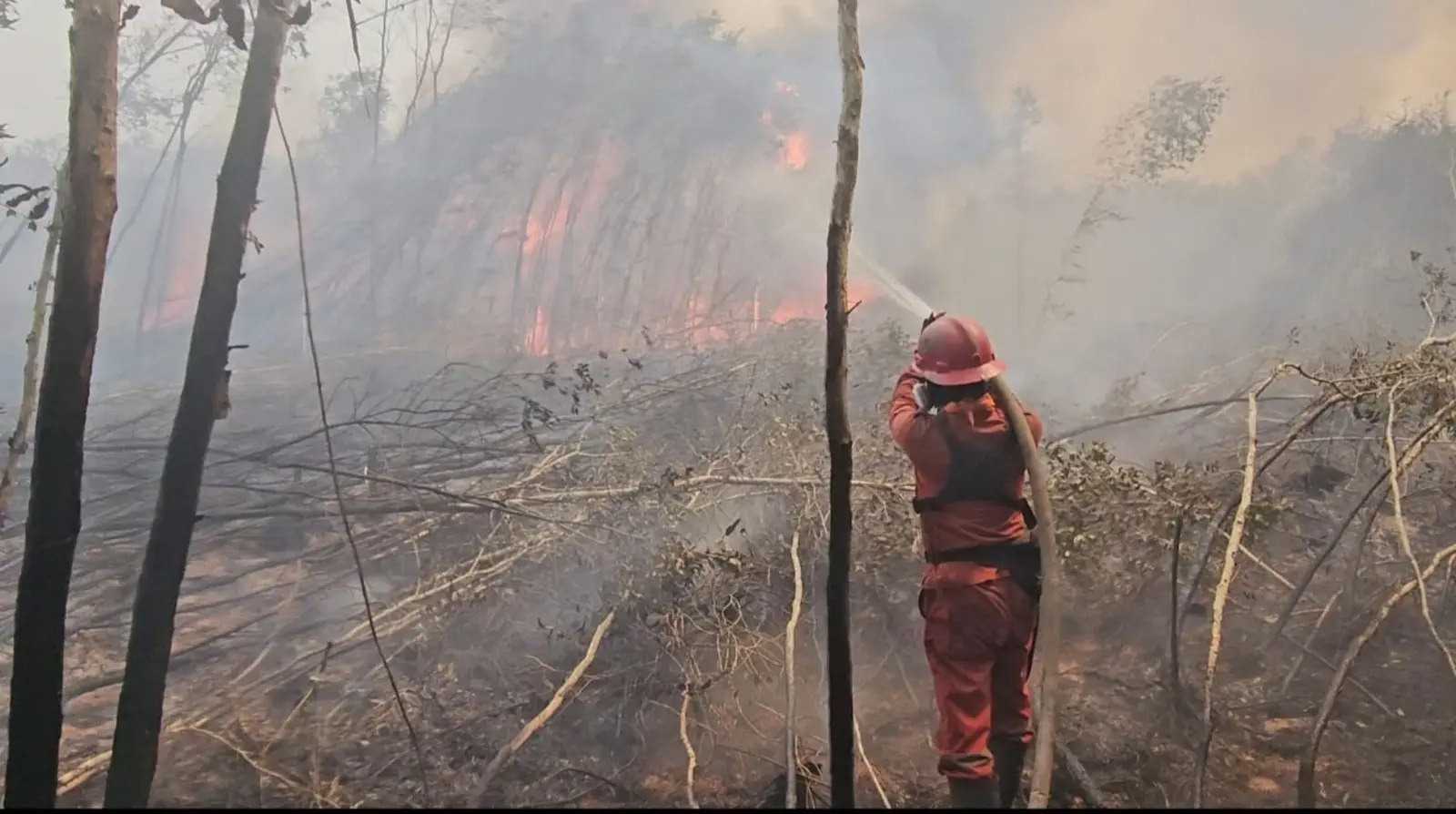 south-sumatra-regional-police-handles-16-cases-of-wildfire-20-suspects-arrested