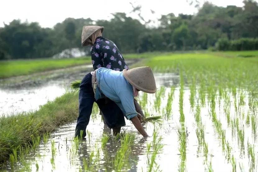 expert-implores-farmers-to-adapt-with-the-climate-change