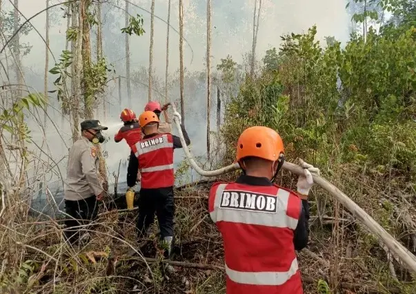 wildfire-spreading-east-kalimantan-regional-police-force-deployed-to-handle-the-fires
